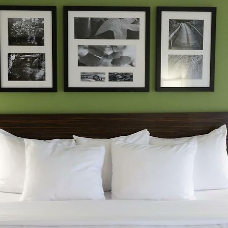 Sleep Inn&Suites Belmont - St. Clairsville Buitenkant foto